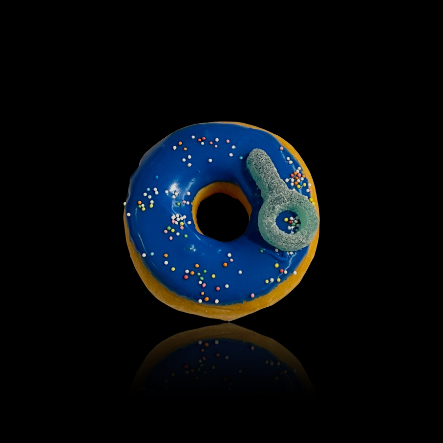 Art-1175-donut blauw 2024 mini.jpeg